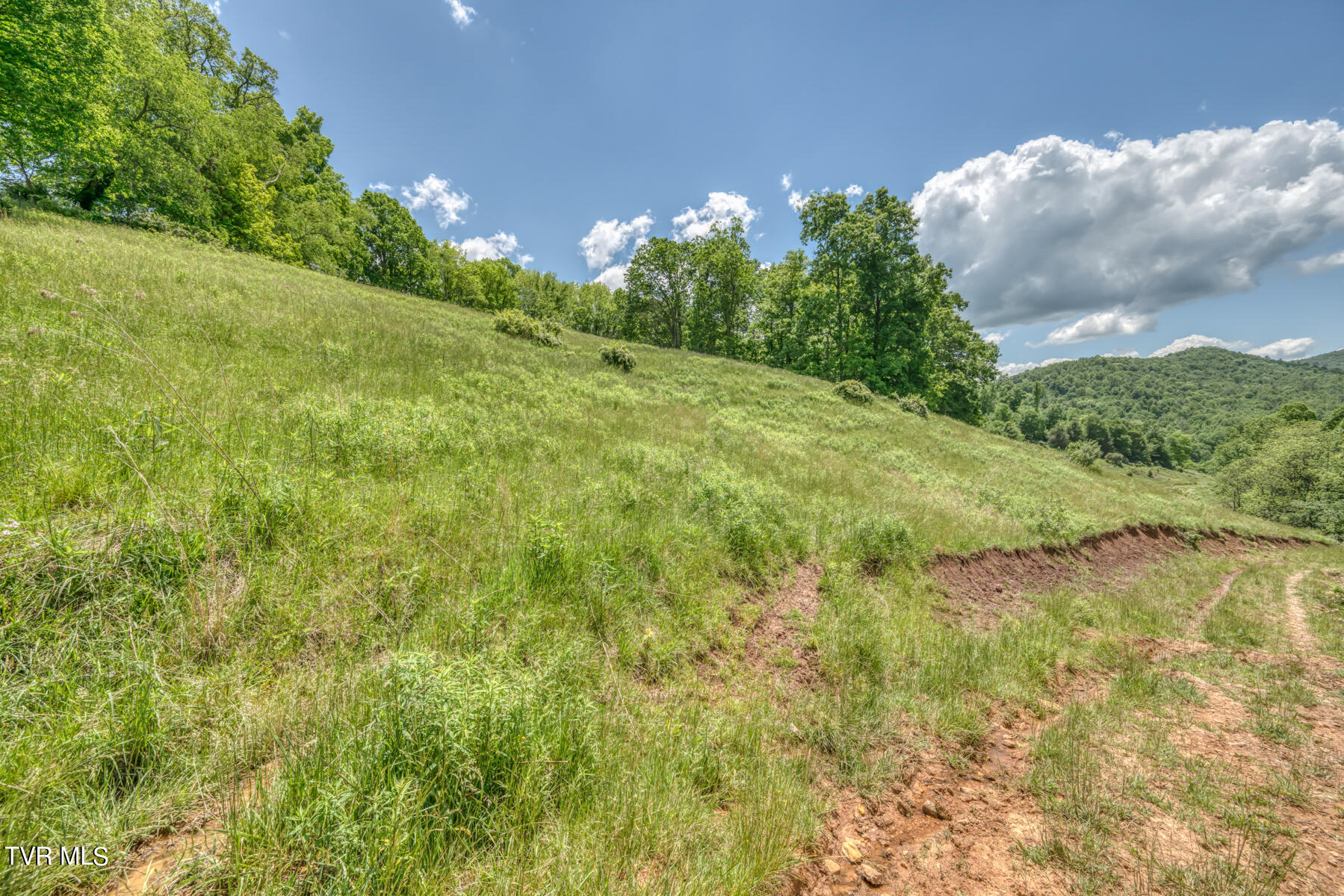 937 Big Dry Run Road, Mountain City, Tennessee image 14