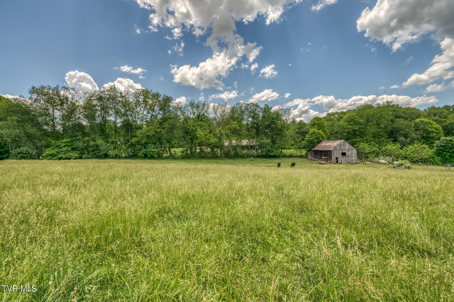 937 Big Dry Run Road, Mountain City, Tennessee image 25