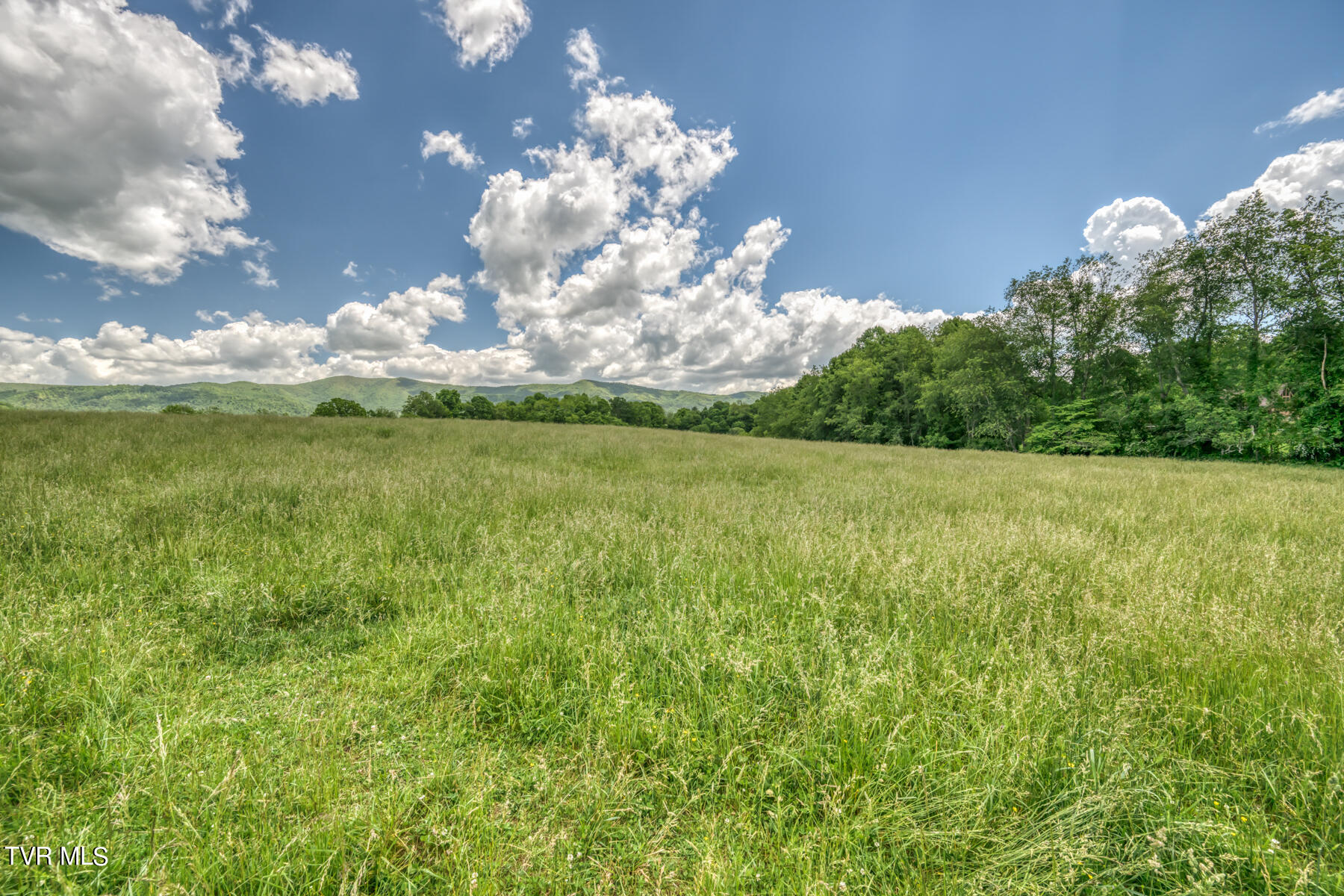 937 Big Dry Run Road, Mountain City, Tennessee image 24