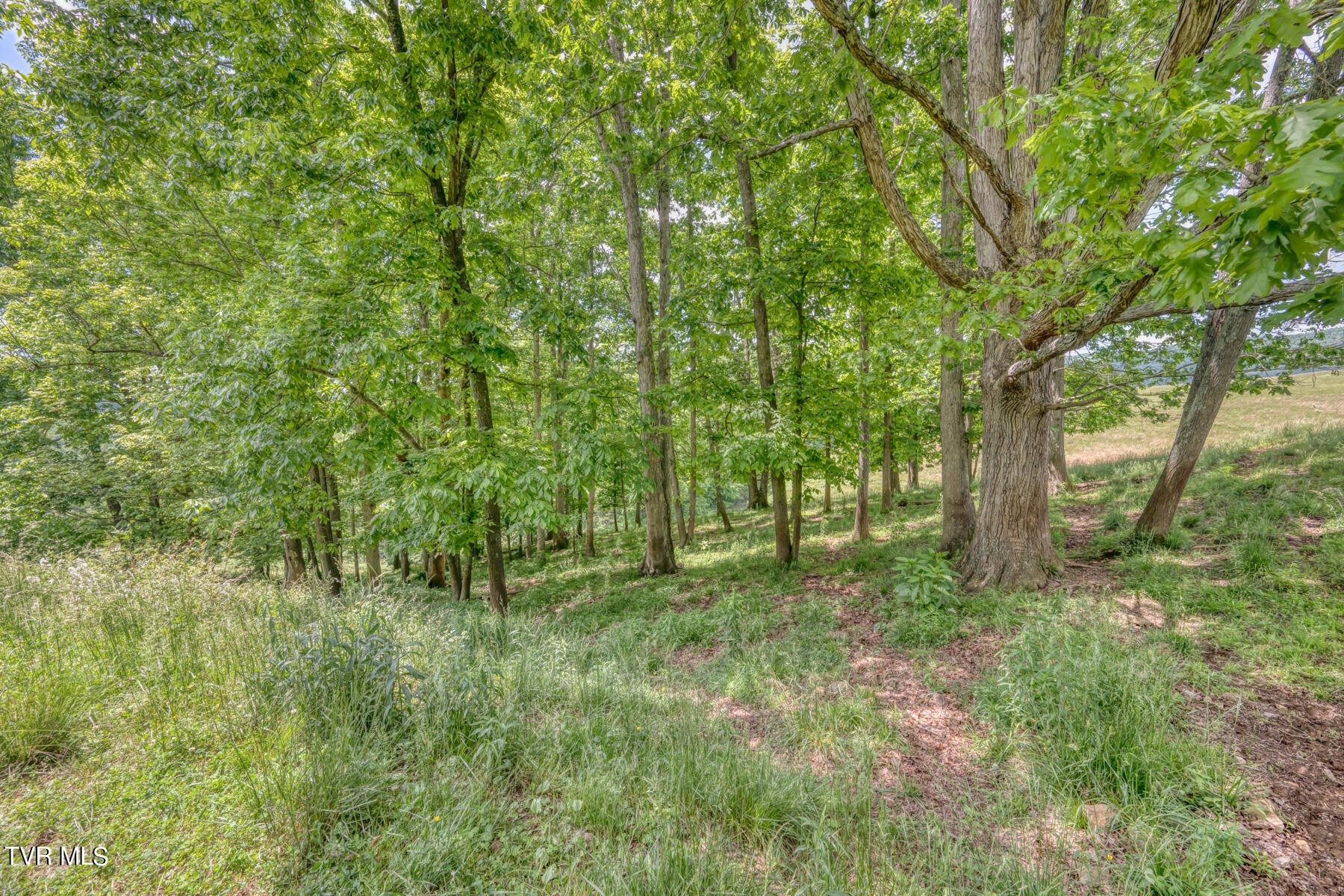 937 Big Dry Run Road, Mountain City, Tennessee image 37