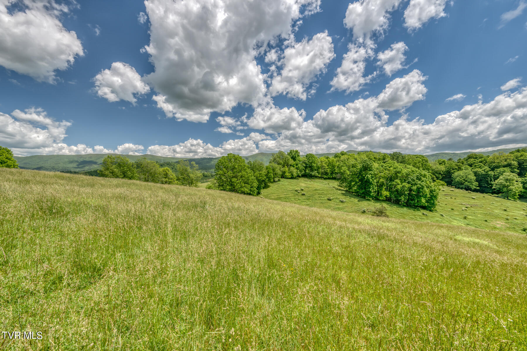 937 Big Dry Run Road, Mountain City, Tennessee image 36
