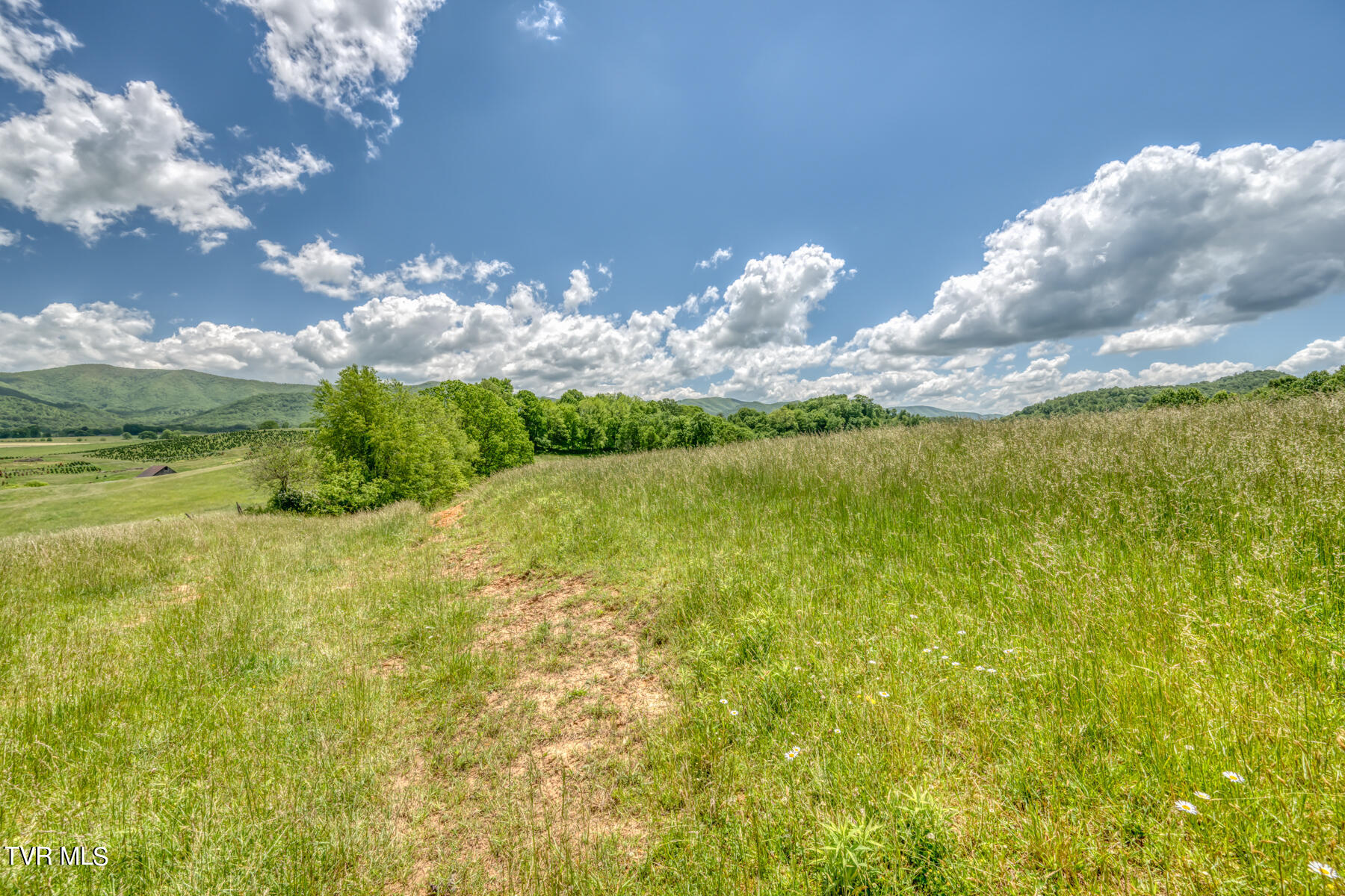 937 Big Dry Run Road, Mountain City, Tennessee image 2