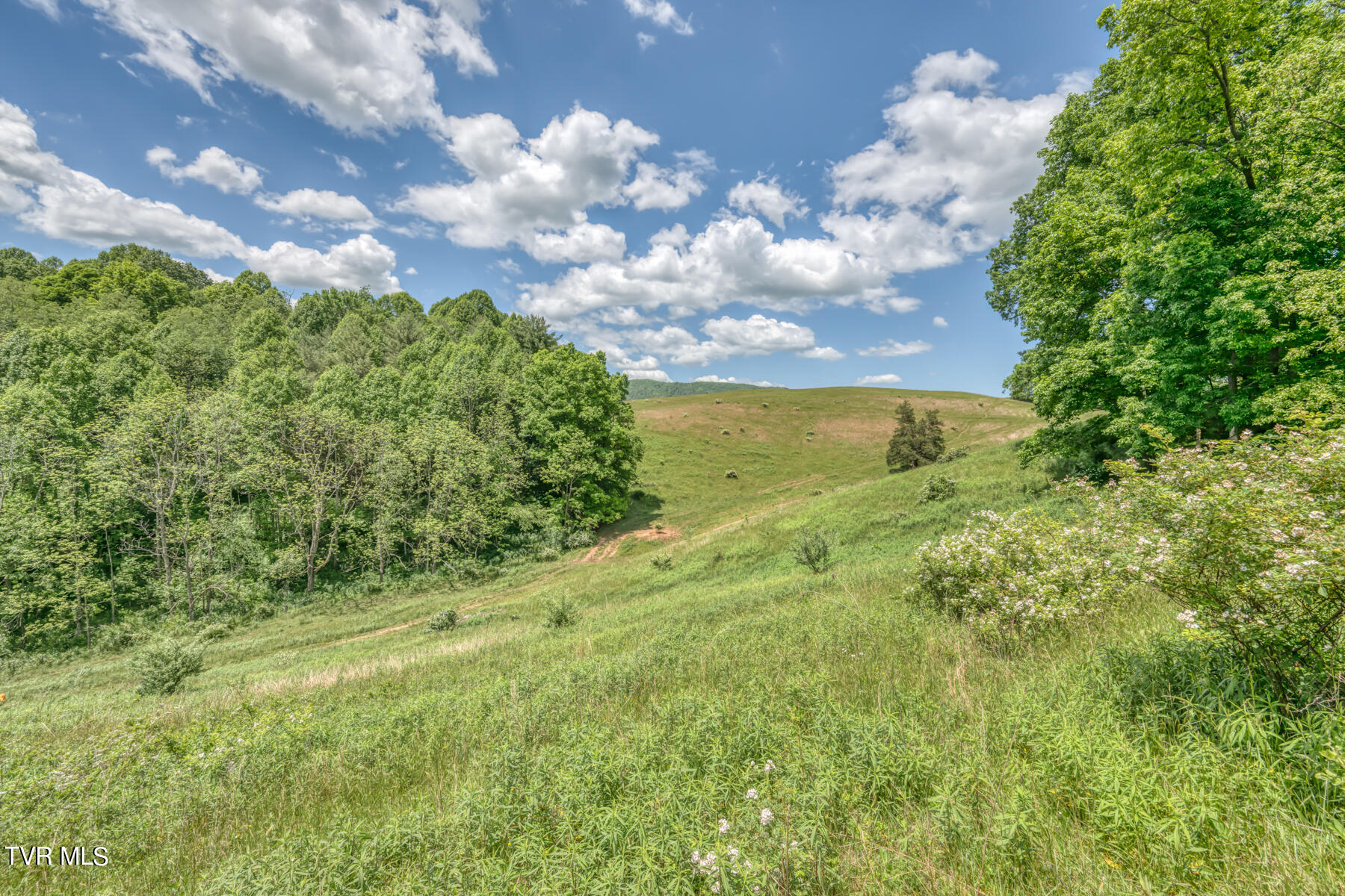 937 Big Dry Run Road, Mountain City, Tennessee image 41