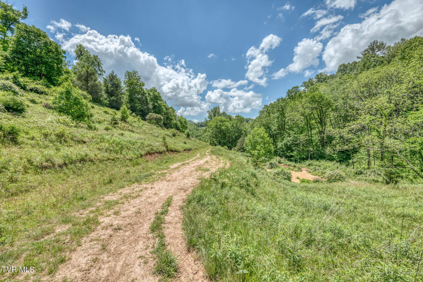 937 Big Dry Run Road, Mountain City, Tennessee image 10