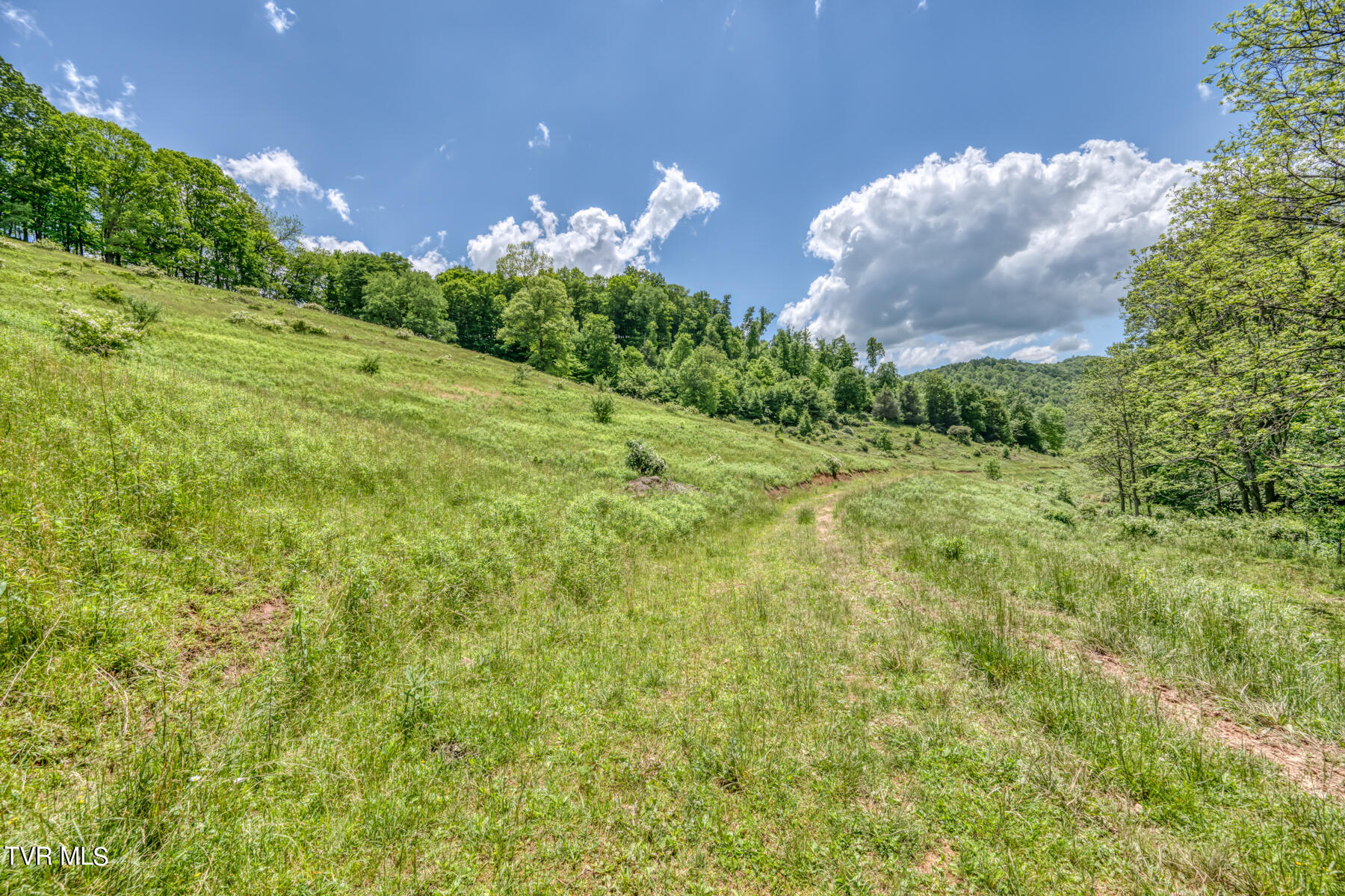 937 Big Dry Run Road, Mountain City, Tennessee image 12