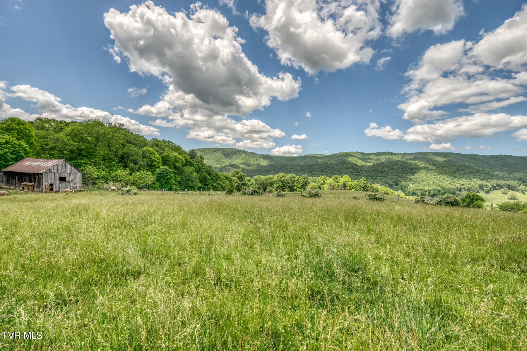 937 Big Dry Run Road, Mountain City, Tennessee image 21