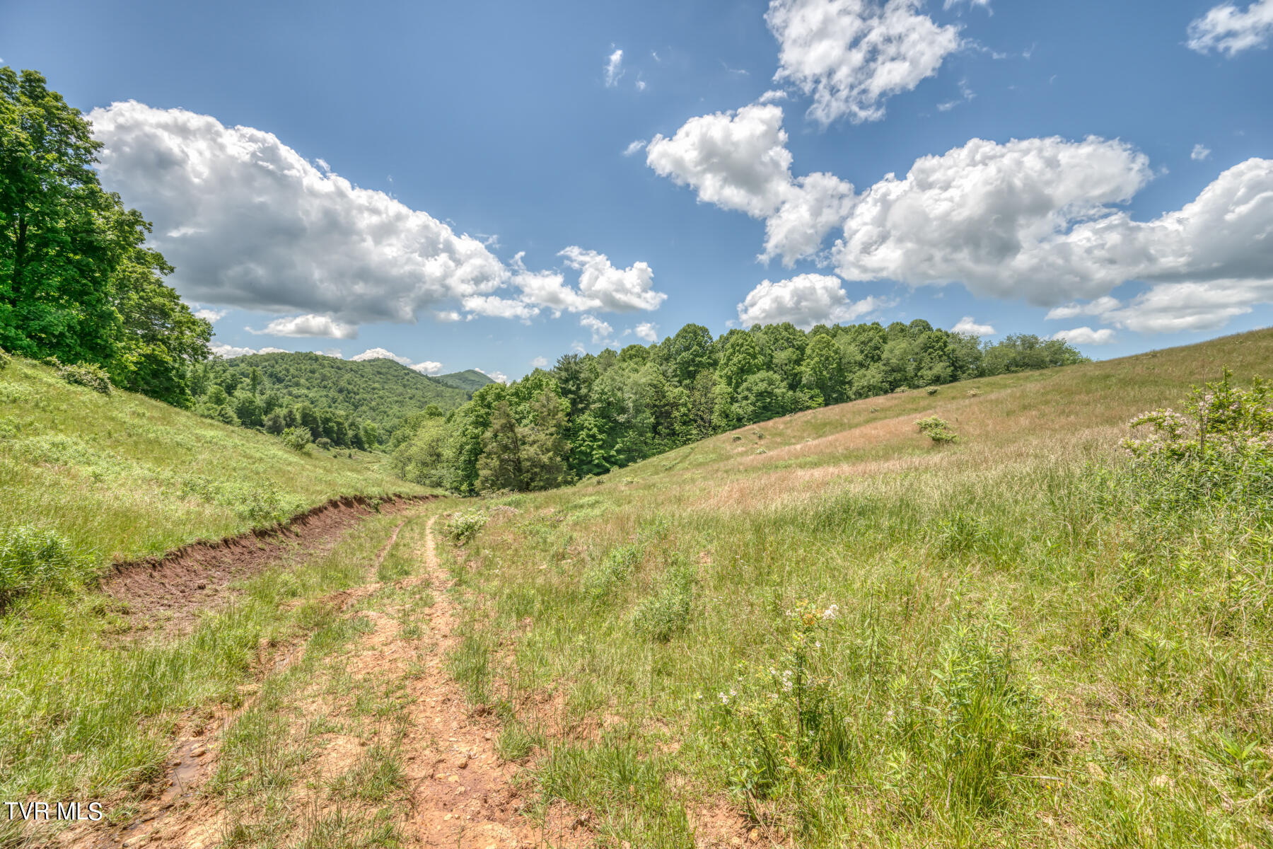 937 Big Dry Run Road, Mountain City, Tennessee image 13