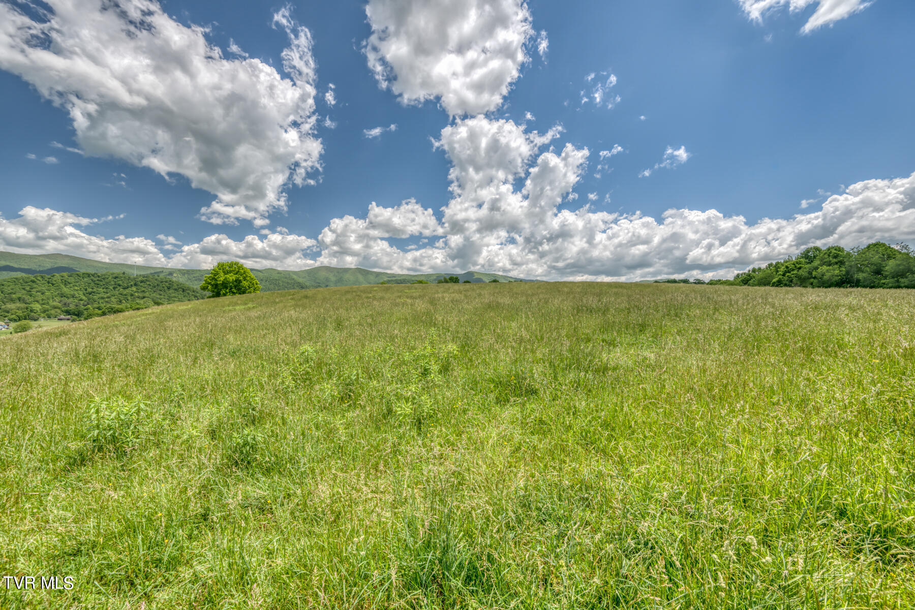 937 Big Dry Run Road, Mountain City, Tennessee image 30