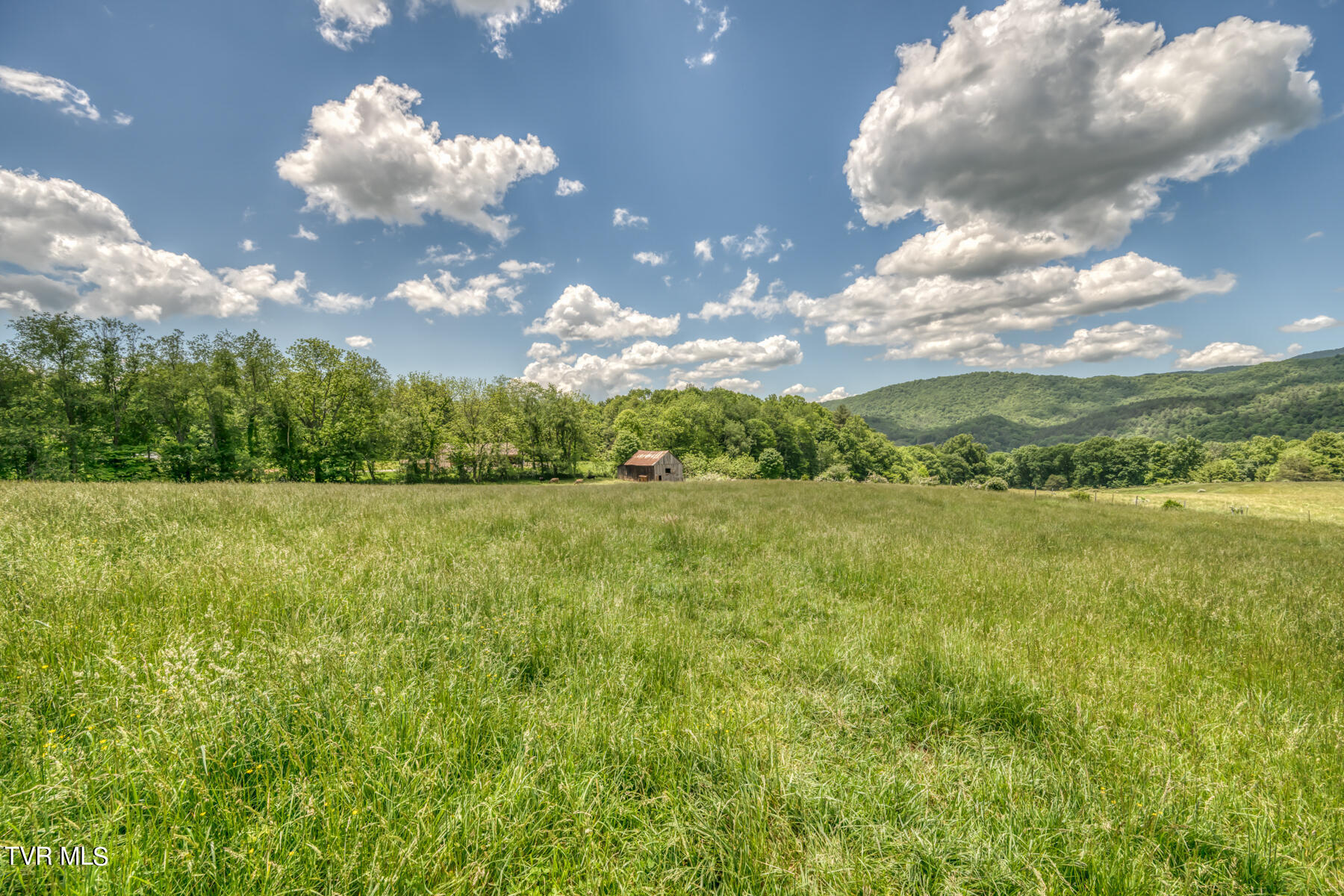 937 Big Dry Run Road, Mountain City, Tennessee image 20