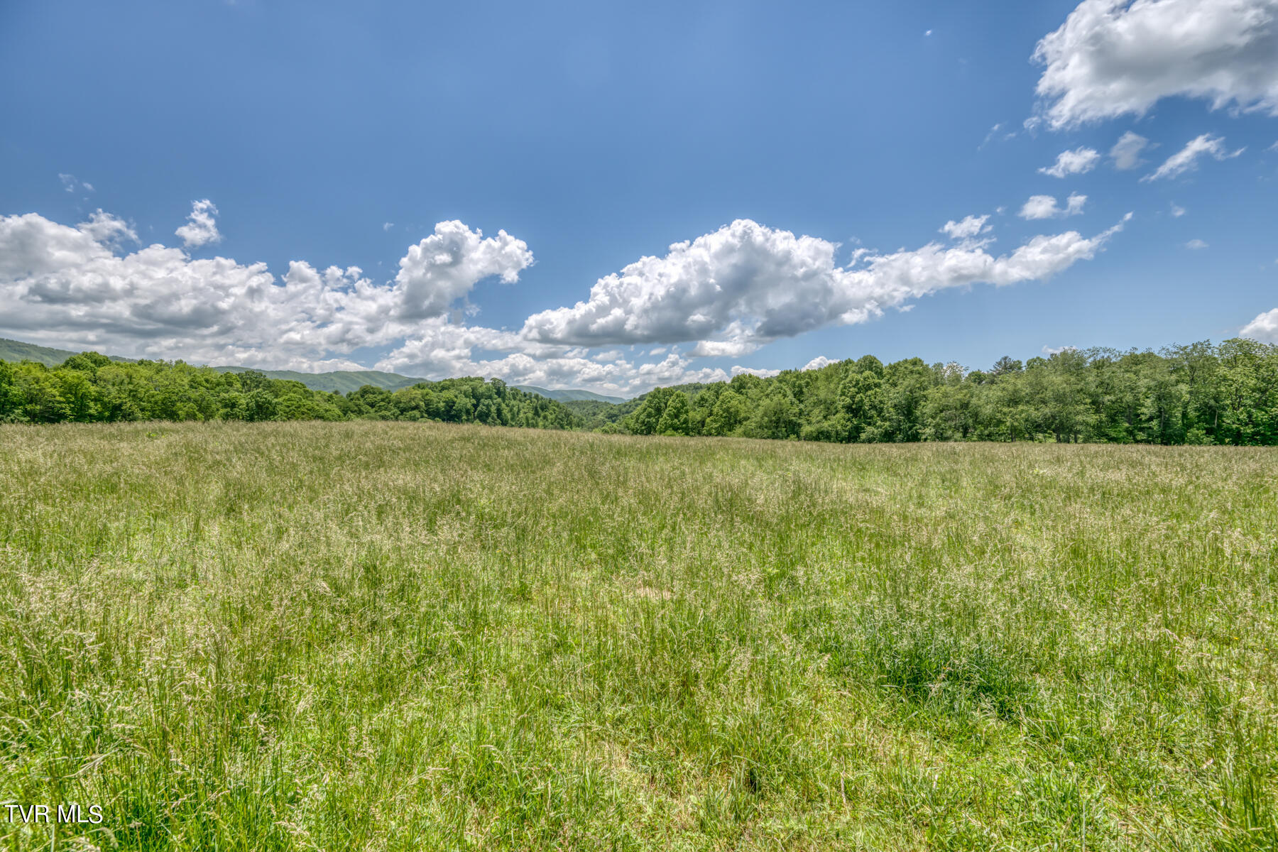 937 Big Dry Run Road, Mountain City, Tennessee image 17