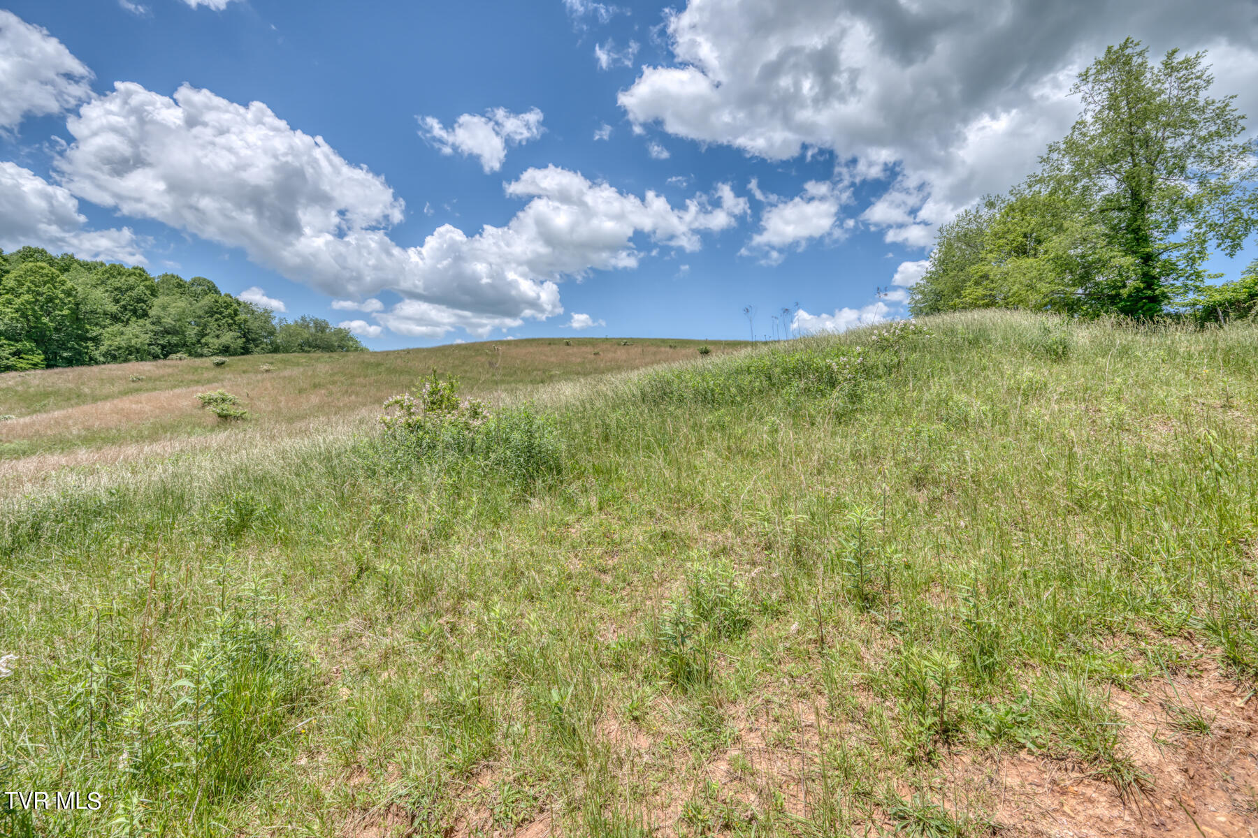 937 Big Dry Run Road, Mountain City, Tennessee image 15