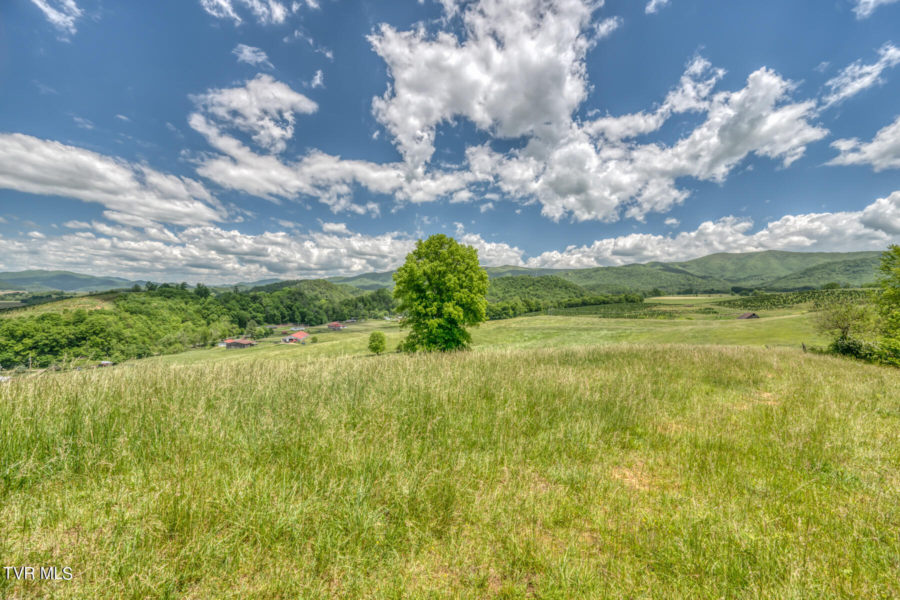 937 Big Dry Run Road, Mountain City, Tennessee image 5