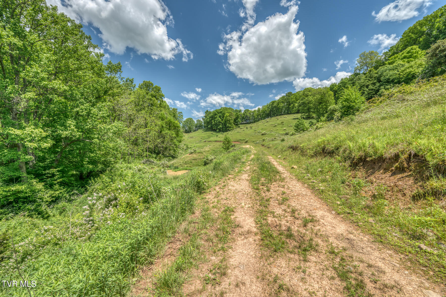 937 Big Dry Run Road, Mountain City, Tennessee image 8