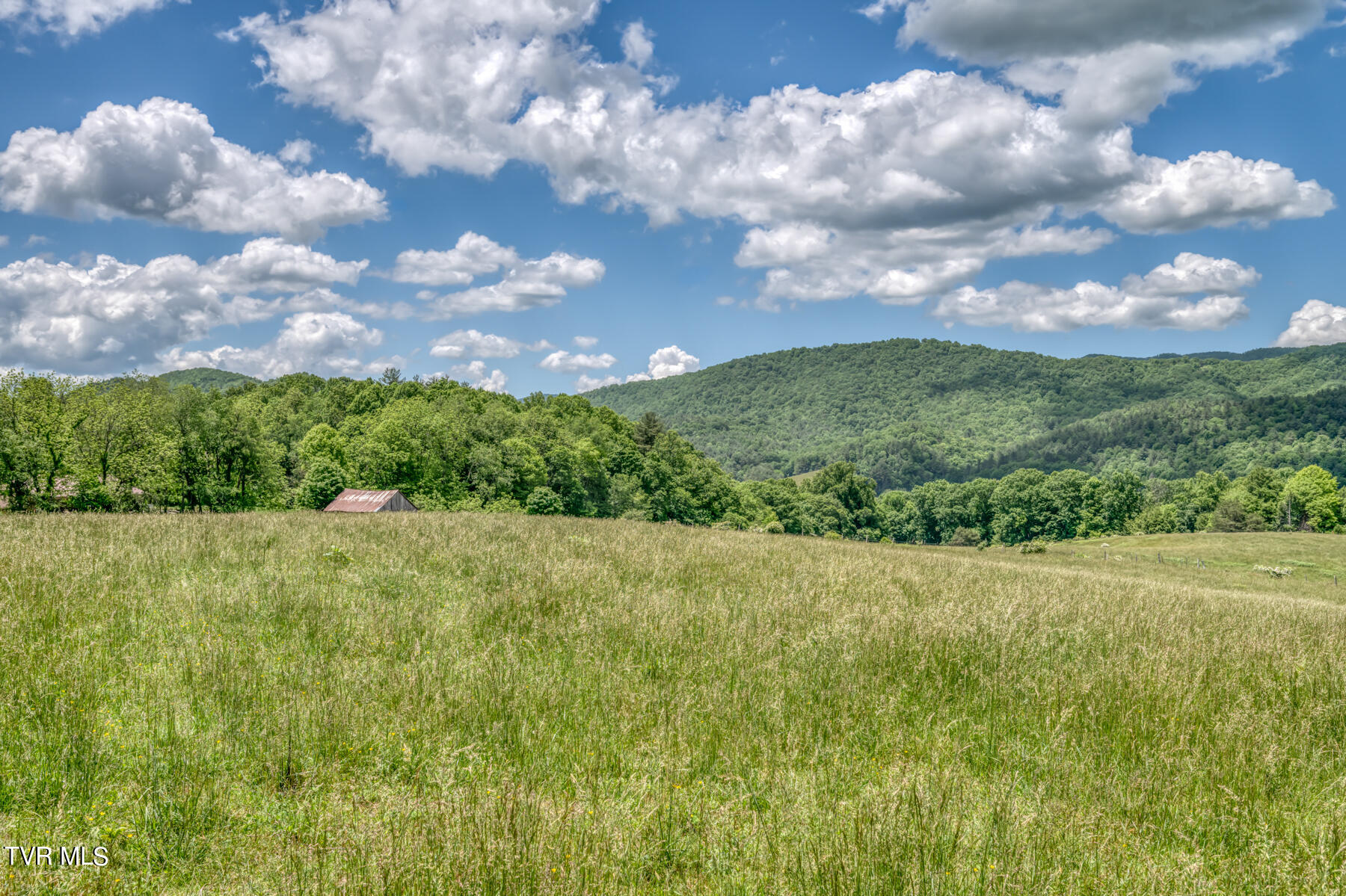 937 Big Dry Run Road, Mountain City, Tennessee image 16