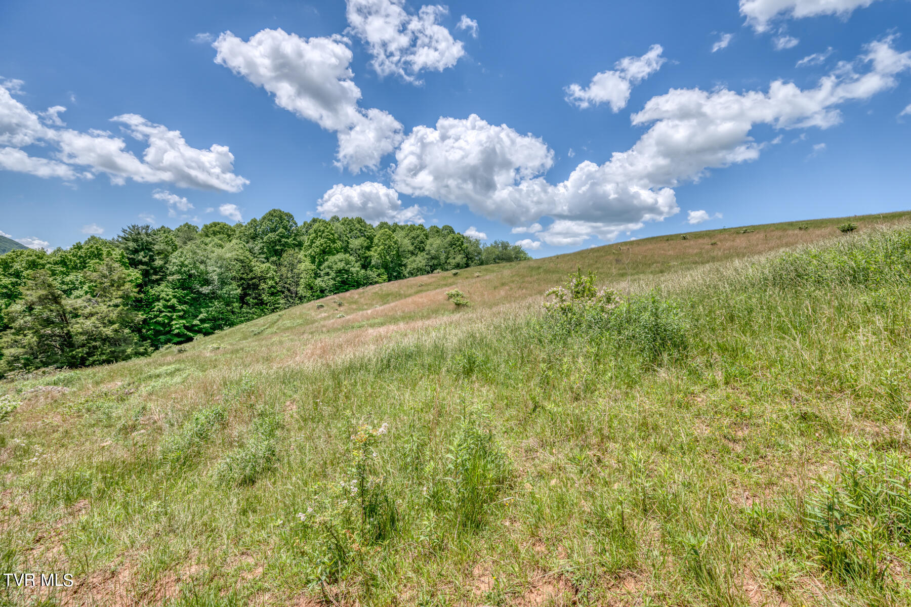 937 Big Dry Run Road, Mountain City, Tennessee image 4