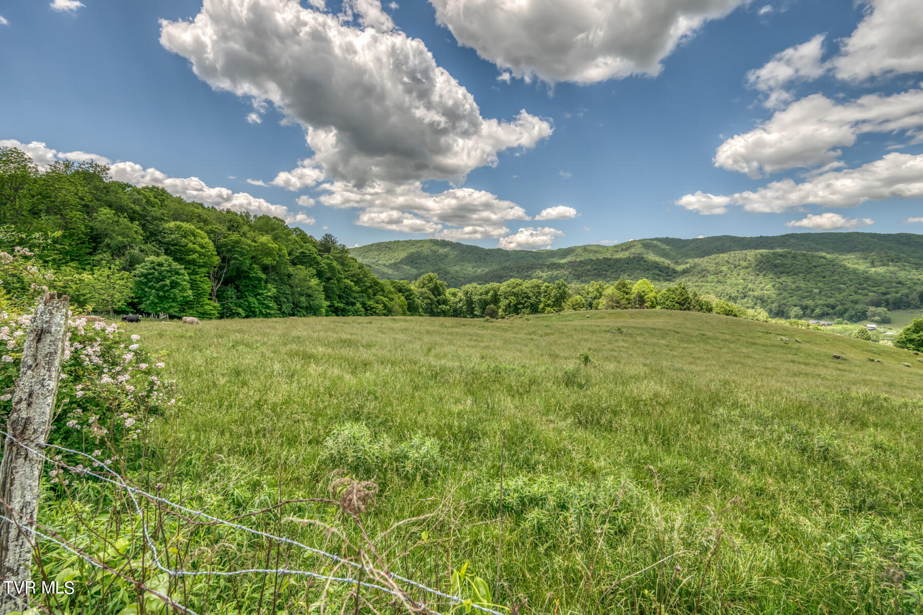 937 Big Dry Run Road, Mountain City, Tennessee image 28