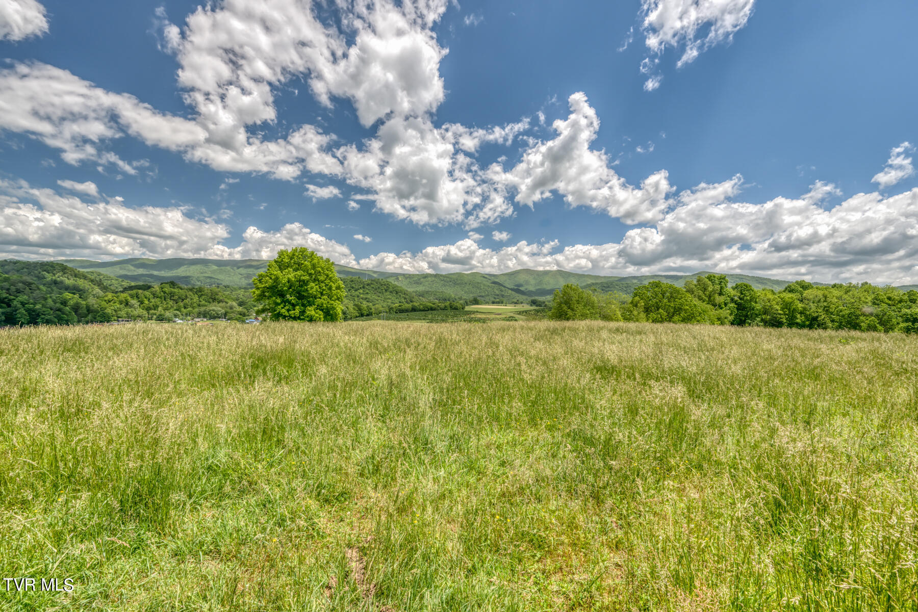937 Big Dry Run Road, Mountain City, Tennessee image 18
