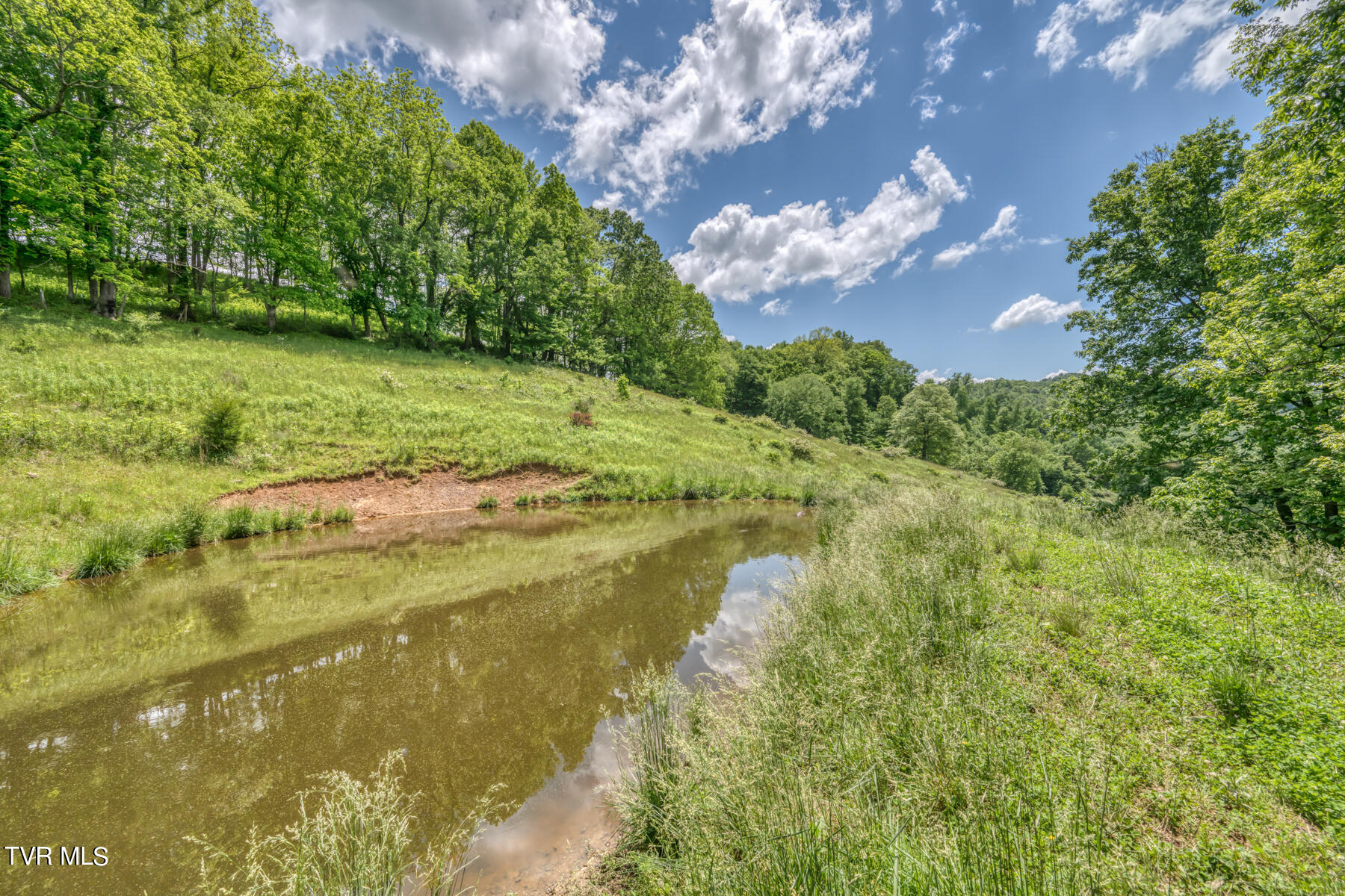 937 Big Dry Run Road, Mountain City, Tennessee image 38