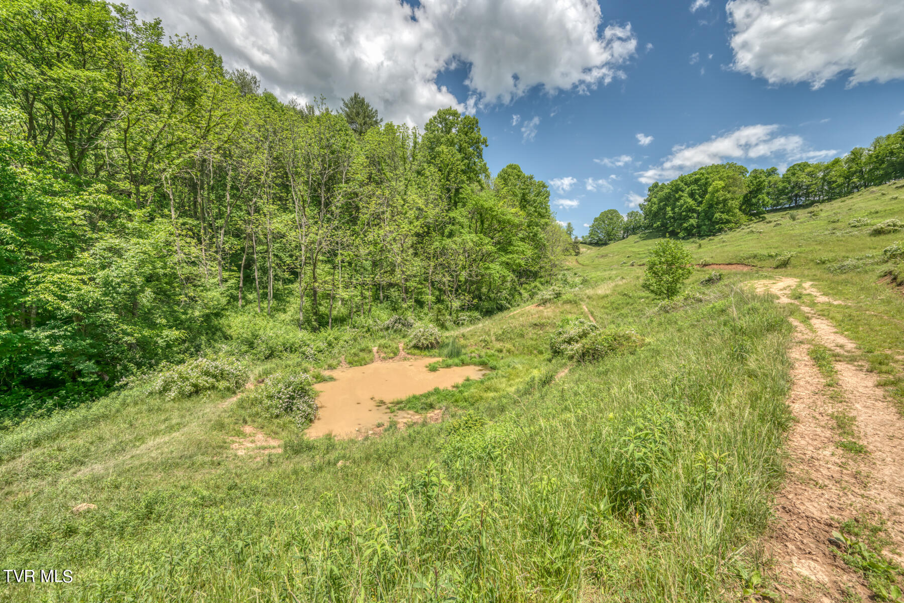 937 Big Dry Run Road, Mountain City, Tennessee image 9