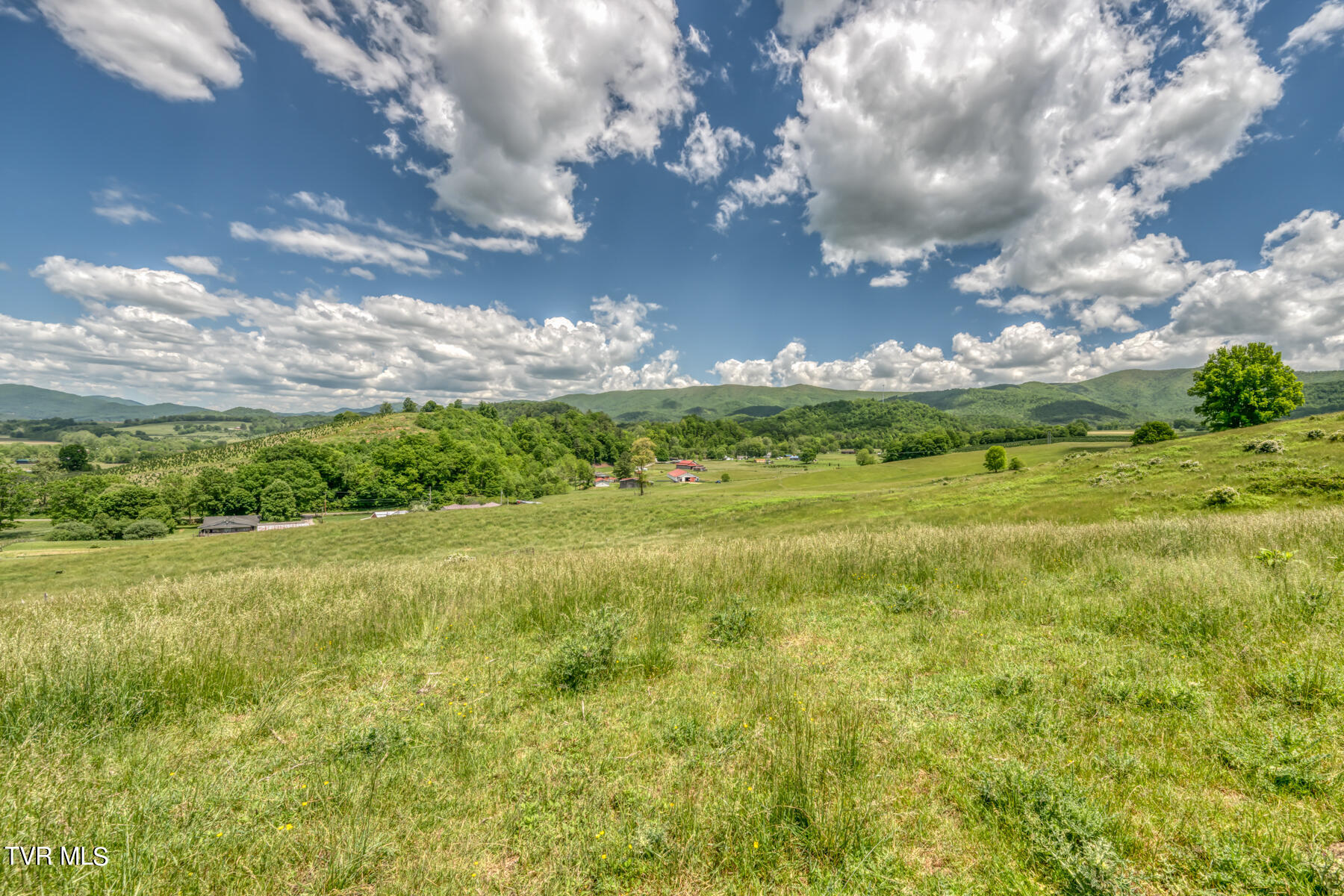 937 Big Dry Run Road, Mountain City, Tennessee image 34