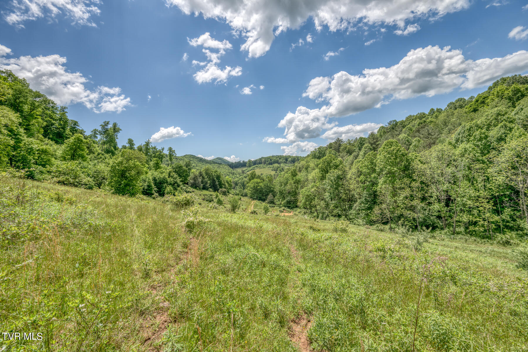 937 Big Dry Run Road, Mountain City, Tennessee image 40