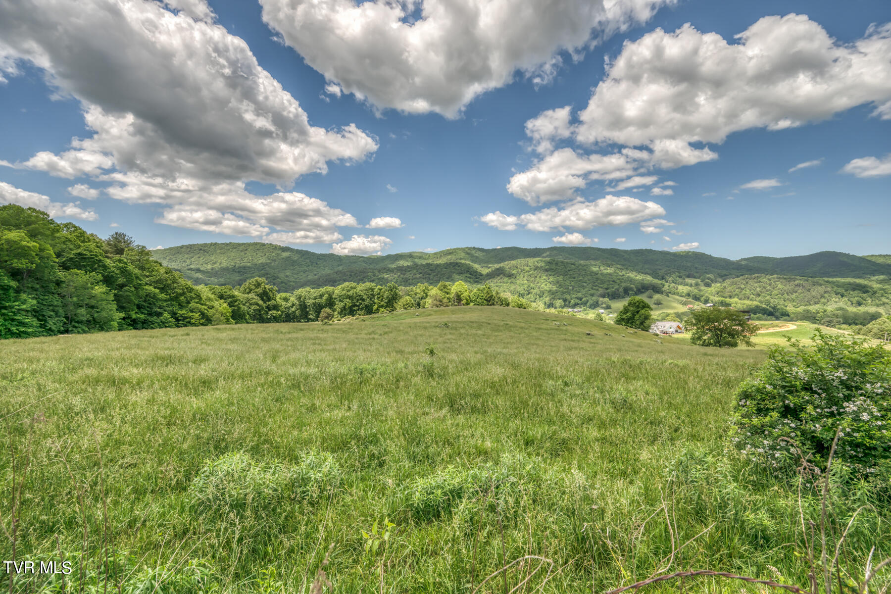 937 Big Dry Run Road, Mountain City, Tennessee image 26