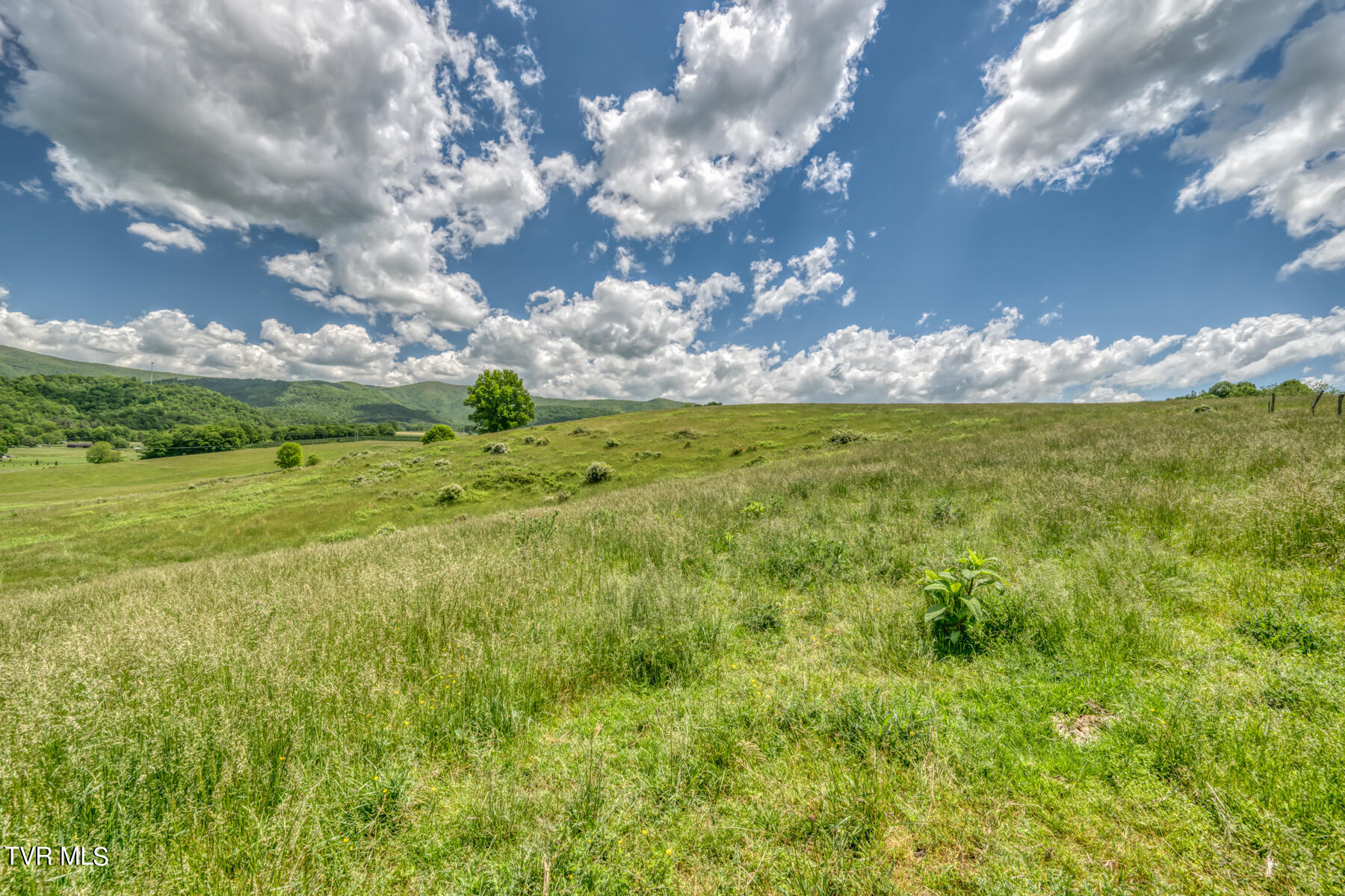 937 Big Dry Run Road, Mountain City, Tennessee image 35