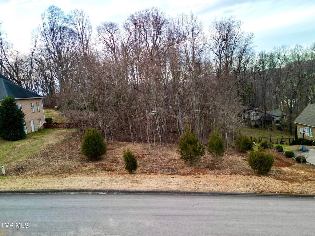 Photo of 160 Sugarcane Lane, Blountville, TN 37617 (MLS # 9989410)