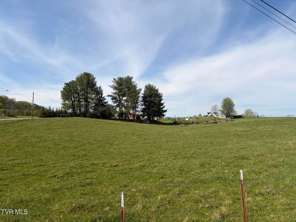 Photo of 5 Washington College Road, Limestone, TN 37681 (MLS # 9993779)