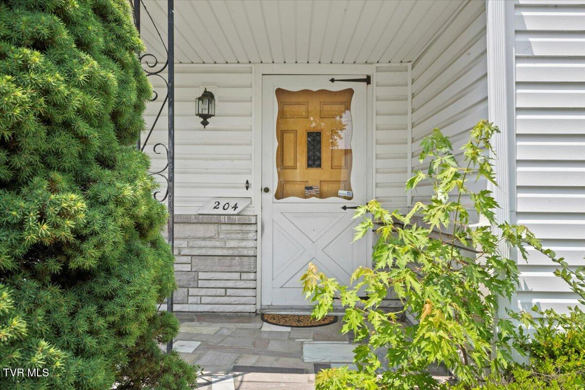 204 Millpond Street, Kingsport, Tennessee image 9