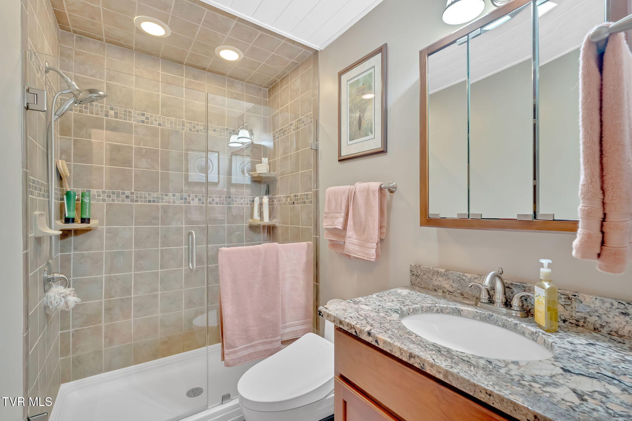 115 Countryshire Court, Kingsport, Tennessee image 39