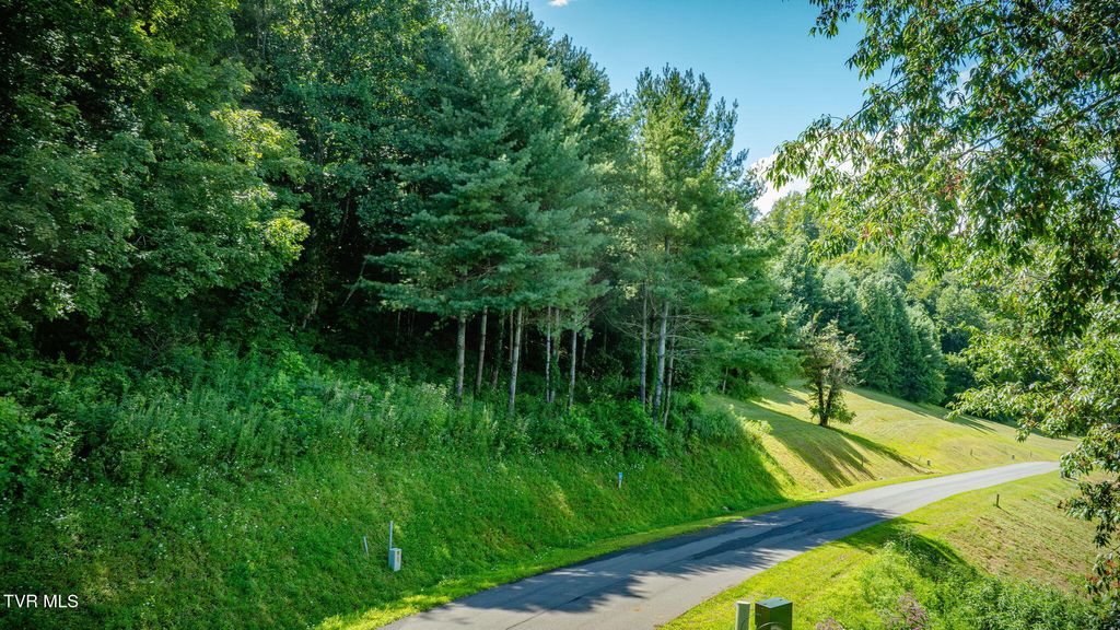 Photo of 10 Cowan Town Road, Butler, TN 37640 (MLS # 9984279)