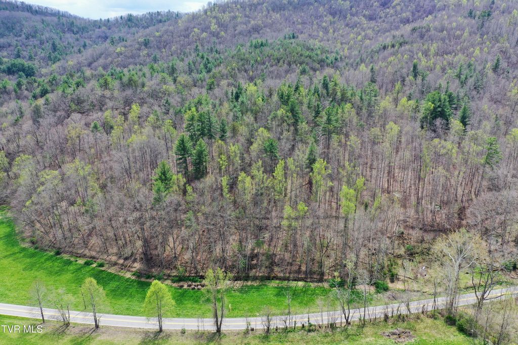Photo of 116 Tbd Houston Valley Tract 6 Road, Greeneville, TN 37743 (MLS # 9993596)