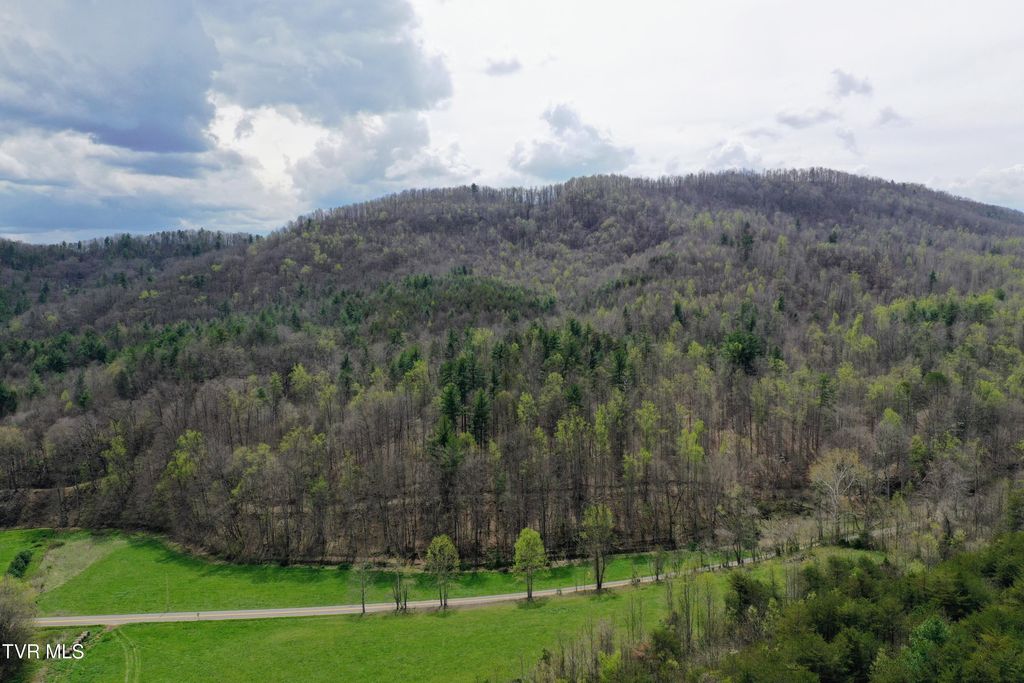 Photo of 116 Tbd Houston Valley Tract 6 Road, Greeneville, TN 37743 (MLS # 9993596)