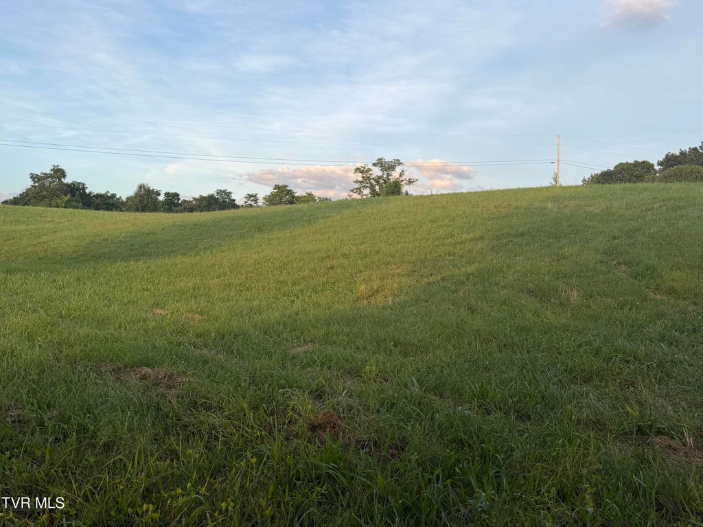 Photo of Tbd Doyle Davis Road #1r-3, Greeneville, TN 37743 (MLS # 9998658)