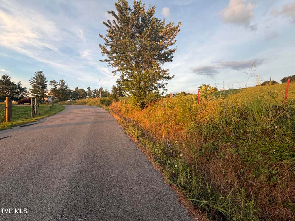 Photo of Tbd Doyle Davis Road #1r-3, Greeneville, TN 37743 (MLS # 9998658)