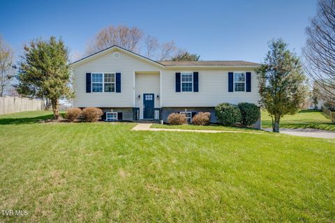 Photo of 7 Providence Court, Jonesborough, TN 37659 (MLS # 9992911)