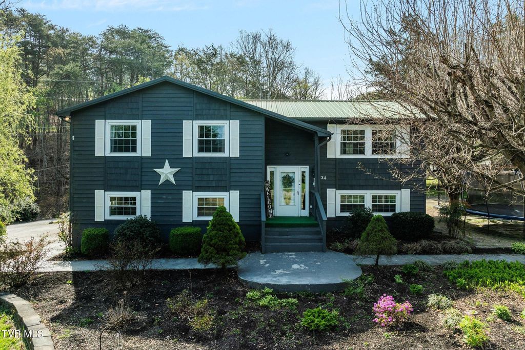 Photo of 524 Mountain View Drive, Piney Flats, TN 37686 (MLS # 9993625)