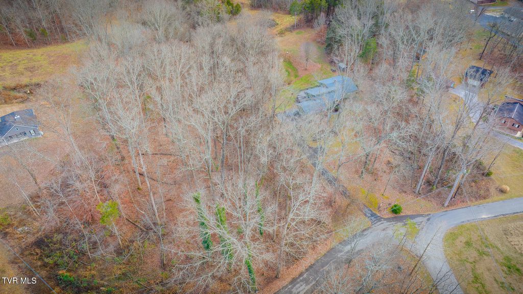 Photo of 0 Shady, Gray, TN 37615 (MLS # 9960642)