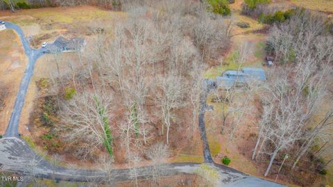 Photo of 0 Shady, Gray, TN 37615 (MLS # 9960642)