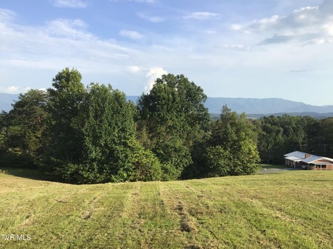 Vacant Land For Sale - TBD Ed Crum Way<br/> Greeneville, TN 37745