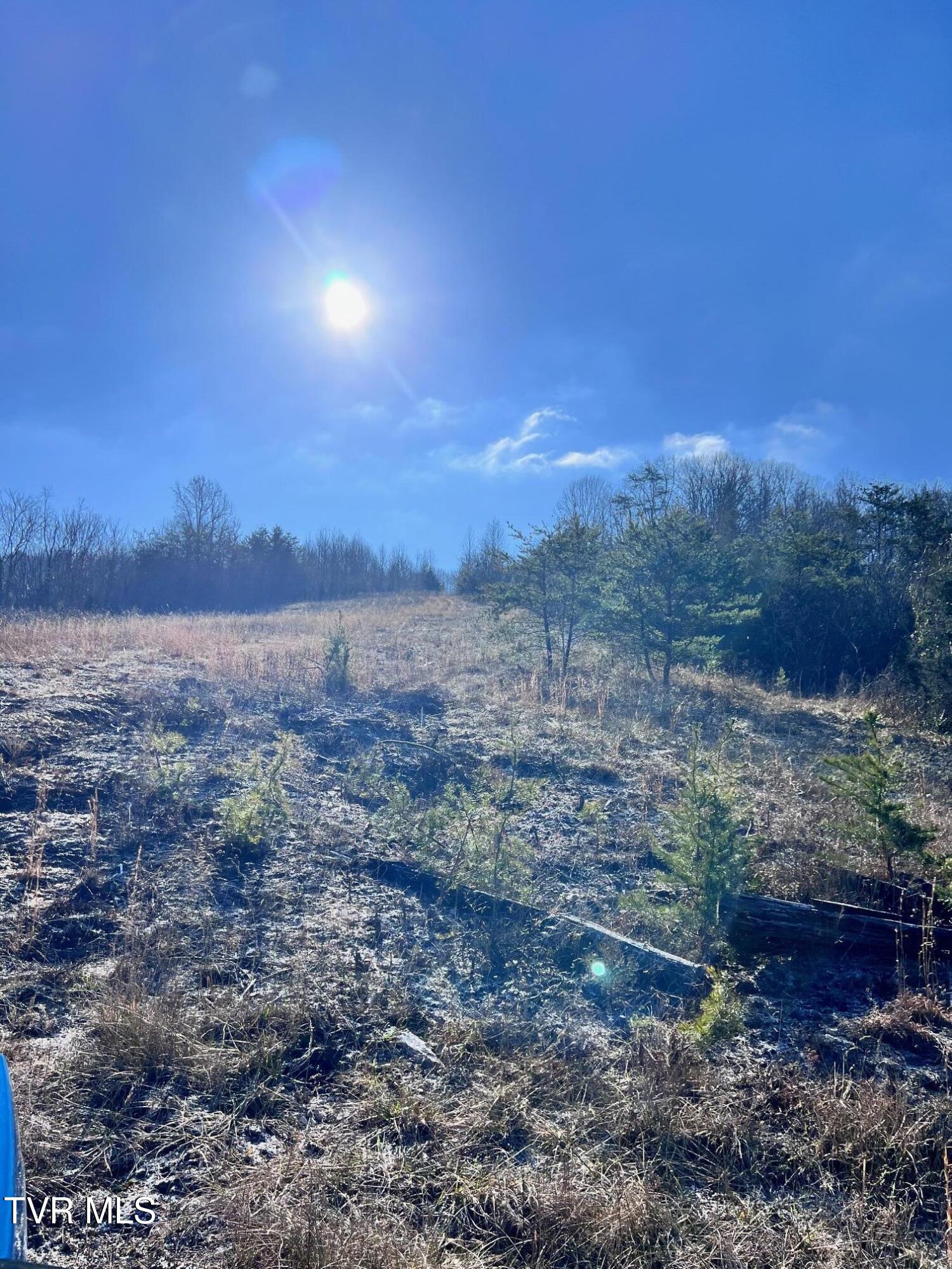 Tract 2 Bundren Mountain Road, Tazewell, Tennessee image 2