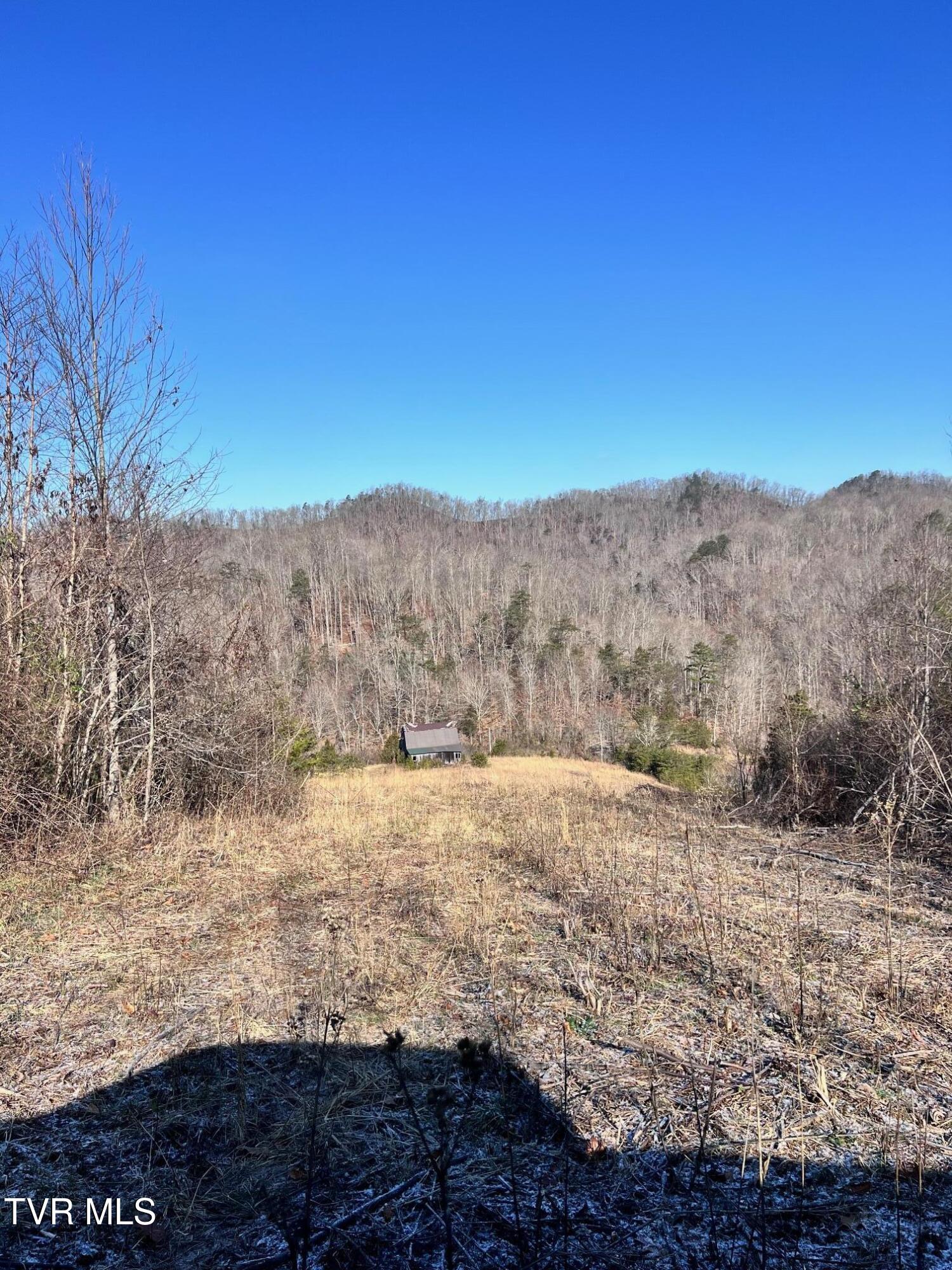 Tract 2 Bundren Mountain Road, Tazewell, Tennessee image 1
