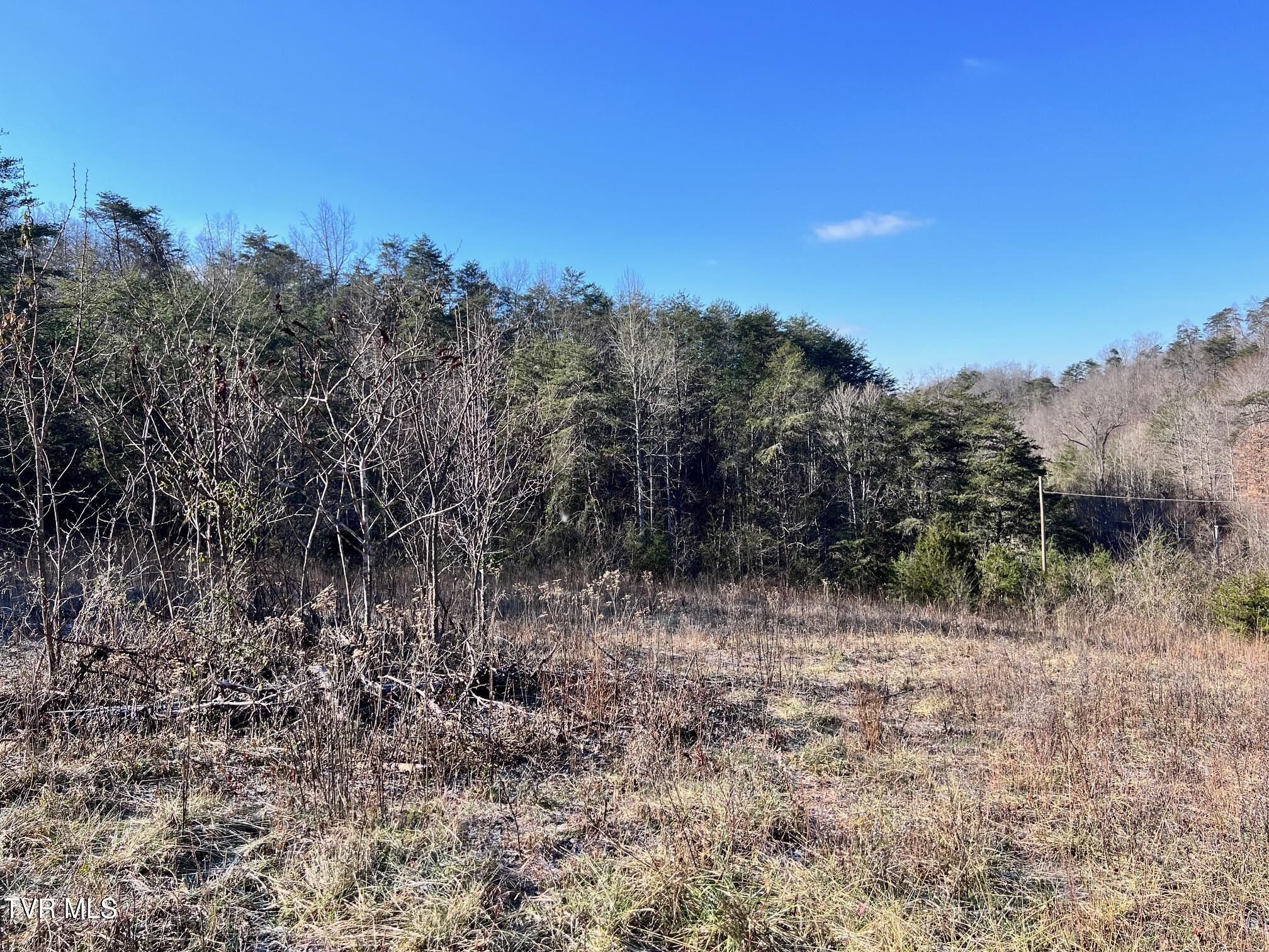 Tract 2 Bundren Mountain Road, Tazewell, Tennessee image 11