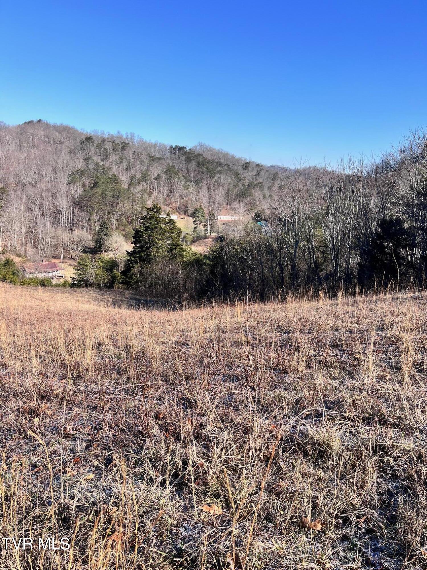 Tract 2 Bundren Mountain Road, Tazewell, Tennessee image 6