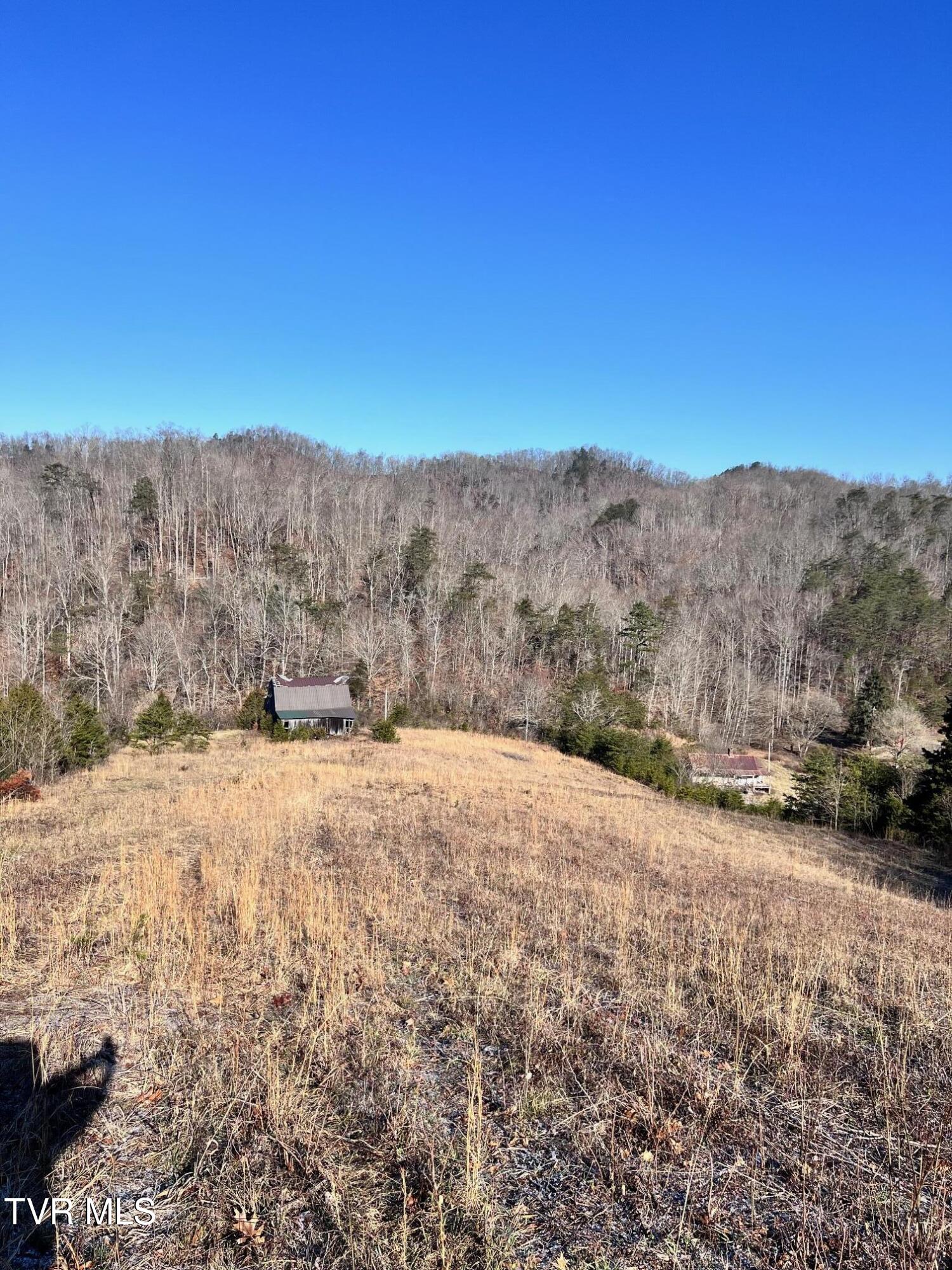 Tract 2 Bundren Mountain Road, Tazewell, Tennessee image 5