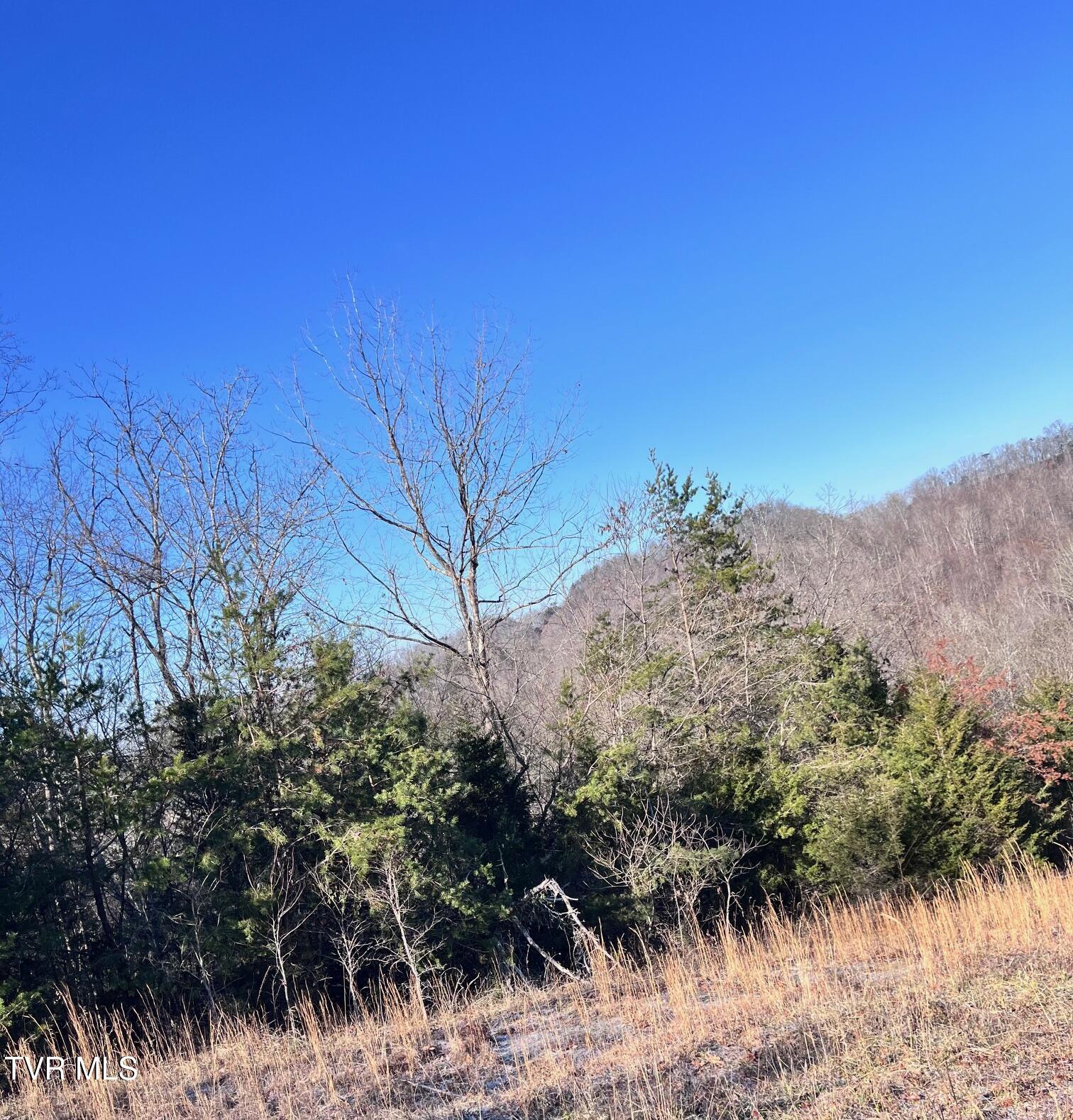 Tract 2 Bundren Mountain Road, Tazewell, Tennessee image 7