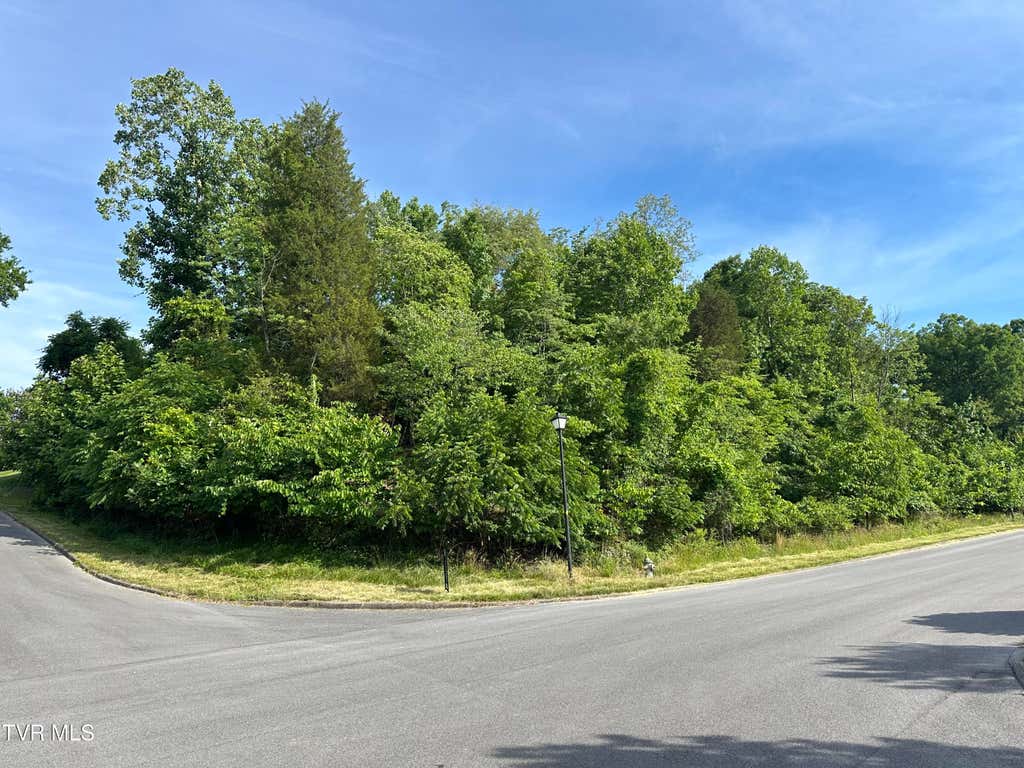 Photo of 910 White Street, Kingsport, TN 37664 (MLS # 9996495)