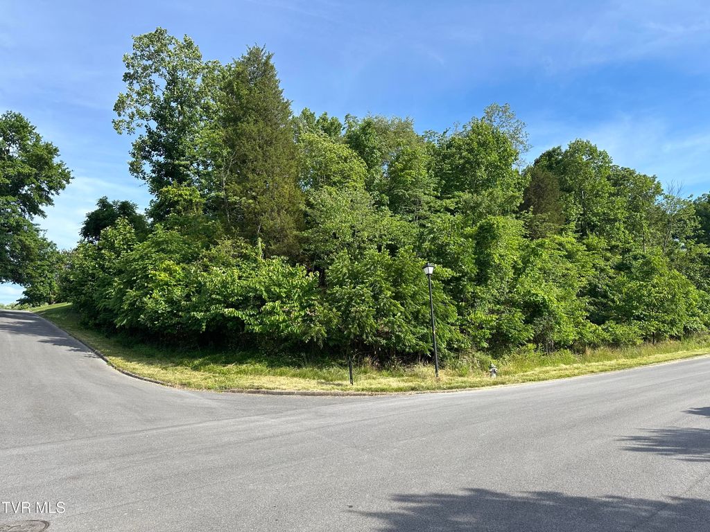 Photo of 910 White Street, Kingsport, TN 37664 (MLS # 9996495)