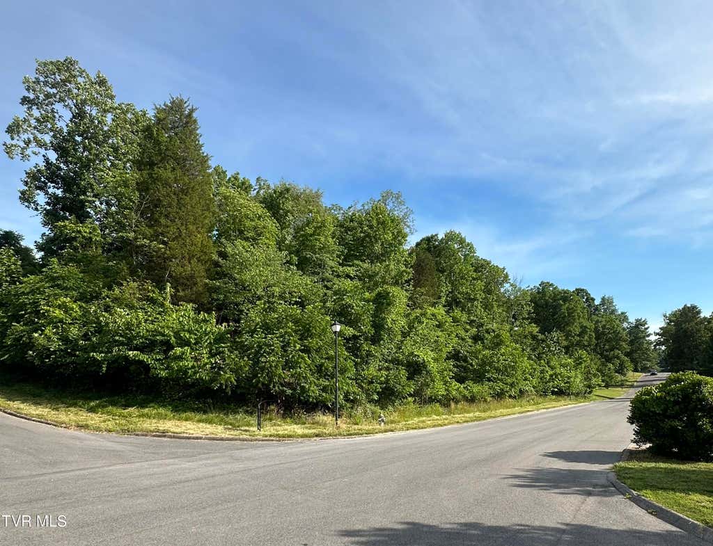 Photo of 910 White Street, Kingsport, TN 37664 (MLS # 9996495)